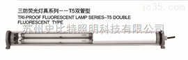 EXT5F-DC2442E三防荧光灯